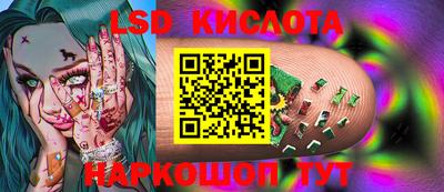 apvp Бийск