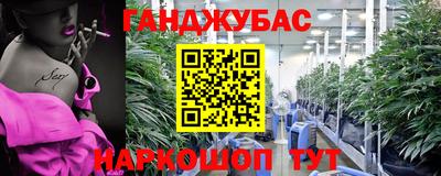 apvp Бийск